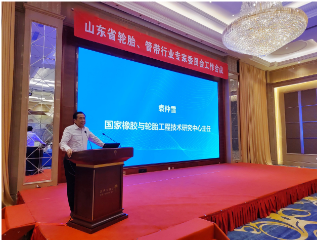 國家橡膠與輪胎工程技術(shù)研究中心主任袁仲雪對企業(yè)的國際化戰(zhàn)略發(fā)展進行了深入分析