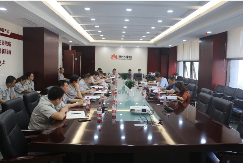 為加強安全生產(chǎn)管理，確保安全底線，延長石油集團公司安全包聯(lián)領(lǐng)導(dǎo)解金城一行于今日來到陜西延長石油西北橡膠有限公司，展開了包聯(lián)單位的安全專項督查工作。在張航偉公司總經(jīng)理和黨委副書記的陪同下，相關(guān)領(lǐng)導(dǎo)班子成員和部門負責(zé)人參加了座談交流。