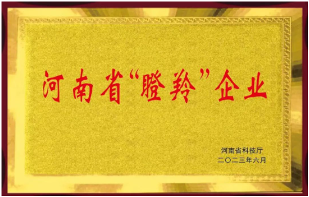 恒力橡塑股份有限公司的入選不僅證明了該公司在橡膠助劑領(lǐng)域的突出成就，同時也彰顯了河南省在科技創(chuàng)新和高新技術(shù)企業(yè)培育方面的努力。