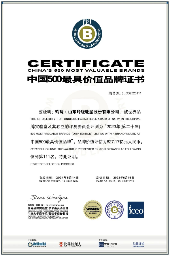 本屆世界品牌大會以"人工智能和Web3.0：品牌全新疆界"為主題。世界經理人集團和世界品牌實驗室的首席執(zhí)行官、牛津大學丁海森博士表示，人工智能作為一項強大的技術，正在徹底改變企業(yè)在品牌建設和營銷方面的方式，通過提供強大的新工具和洞察力。