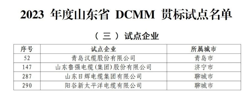 多家電線電纜企業(yè)入選山東省DCMM貫標(biāo)試點(diǎn)名單