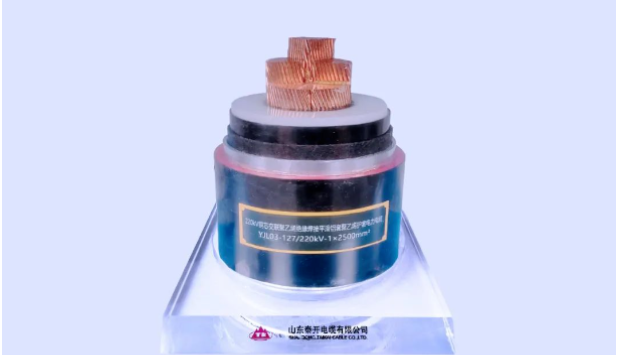 展望未來，泰開電纜表示將繼續(xù)發(fā)揮科研平臺在關(guān)鍵技術(shù)攻關(guān)、科技成果轉(zhuǎn)化、創(chuàng)新人才培養(yǎng)、產(chǎn)學(xué)研協(xié)同發(fā)展等方面的重要作用，力爭實現(xiàn)新產(chǎn)品、新技術(shù)、新工藝方面的再突破，助力行業(yè)和產(chǎn)業(yè)鏈的協(xié)同發(fā)展!