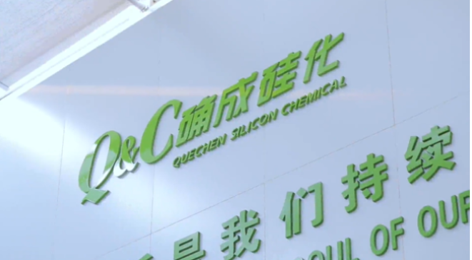 確成硅化學(xué)股份有限公司自成立至今，專注于沉淀法二氧化硅產(chǎn)品的研發(fā)、制造和銷售，經(jīng)過20年的發(fā)展，已經(jīng)成為全球主要的二氧化硅產(chǎn)品專業(yè)制造商之一。確成股份擁有從原材料硫酸、硅酸鈉到最終產(chǎn)品二氧化硅的制造產(chǎn)業(yè)鏈，產(chǎn)品主要市場聚焦在橡膠工業(yè)領(lǐng)域的高性能子午線綠色輪胎配套專用材料以及動(dòng)物營養(yǎng)品領(lǐng)域的動(dòng)物飼料載體用二氧化硅。此外，確成股份在國內(nèi)外擁有多個(gè)生產(chǎn)基地，總產(chǎn)能位列世界第三位，主要客戶包括國際知名輪胎和動(dòng)物營養(yǎng)品公司。