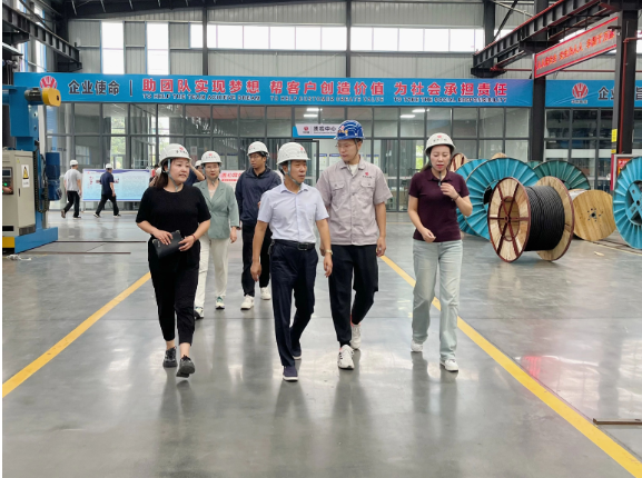 華東電纜表示下半年將集中精力提高產(chǎn)品質(zhì)量，強(qiáng)化風(fēng)險(xiǎn)防控，積極應(yīng)對(duì)市場(chǎng)訂單，全力以赴，確保完成全年經(jīng)營(yíng)發(fā)展目標(biāo)任務(wù)，進(jìn)一步推動(dòng)經(jīng)濟(jì)實(shí)現(xiàn)有效提升和合理增長(zhǎng)。