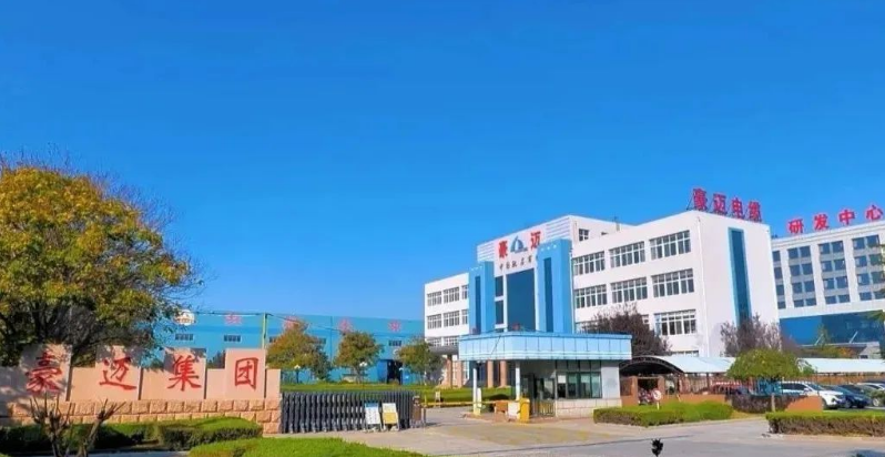 通過(guò)現(xiàn)場(chǎng)核查及資料審核，專家組認(rèn)為，豪邁電纜的企業(yè)主體資格符合要求，質(zhì)量管理體系健全且運(yùn)行正常，生產(chǎn)設(shè)備完善，檢驗(yàn)儀器齊全，技術(shù)力量能夠滿足生產(chǎn)需要，檢驗(yàn)人員操作熟練。綜合以上因素，專家組一致認(rèn)定豪邁電纜通過(guò)礦用產(chǎn)品安全標(biāo)志評(píng)審。