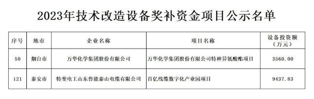 根據(jù)山東省政府《關(guān)于印發(fā)2023年“穩(wěn)中向好、進(jìn)中提質(zhì)”政策清單(第一批)的通知》(魯政發(fā)〔2022〕18號)以及《關(guān)于組織申報(bào)2023年技術(shù)改造設(shè)備獎(jiǎng)補(bǔ)資金項(xiàng)目的通知》(魯工信規(guī)〔2023〕109號)的要求，山東省工業(yè)和信息化廳積極組織并展開了2023年技術(shù)改造設(shè)備獎(jiǎng)補(bǔ)資金項(xiàng)目評審工作。在經(jīng)歷了企業(yè)申報(bào)、各市推薦、財(cái)務(wù)審核、專家評審、部門核查等多個(gè)環(huán)節(jié)后，最終擬定了包含216個(gè)項(xiàng)目的2023年技術(shù)改造設(shè)備獎(jiǎng)補(bǔ)資金項(xiàng)目名單。
