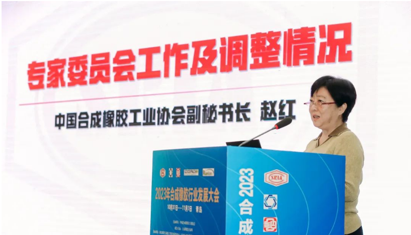 中國合成橡膠工業(yè)協(xié)會秘書長趙紅詳細介紹了專家委員會的工作情況和新一屆專家委員會的組成。會長梁愛民為專家委員會主任委員張立群院士頒發(fā)了聘書，標志著專家委員會的正式成立。