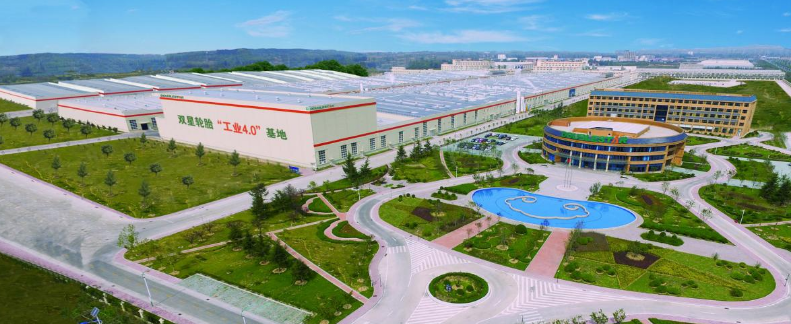 雙星目前正以新戰(zhàn)略邁向未來，圍繞橡膠輪胎、人工智能及高端裝備、綠色生態(tài)循環(huán)利用這三大主業(yè)，積極實施生態(tài)化、高新化、當(dāng)?shù)鼗?、?shù)智化的“新四化”戰(zhàn)略，為成為可持續(xù)發(fā)展的世界一流企業(yè)而努力。