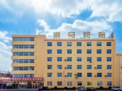 浪馬輪胎，改制與海外布局雙突破！